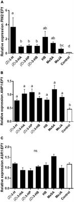 Eliciting Plant Defenses Through Herbivore-Induced Plant Volatiles’ Exposure in Sweet Peppers